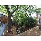公園「玉川上水緑道まで799ｍ」