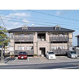 ミレニアム桑田