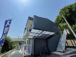 カーサー光