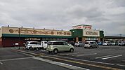 イッツモア増坪店1251m