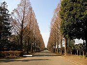 　周辺10Km以内　