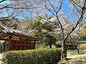 平戸橋公園　いこいの広場 3180m