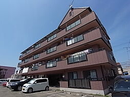 サンフラワー貴崎