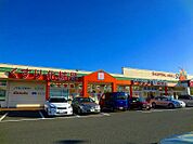 ドラッグ新生堂 宗像店（277m）