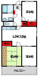 アマランスキノ 4階/-