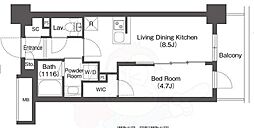 バウスステージ大濠 3階/-