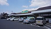 TAIRAYA小金井店 1396m