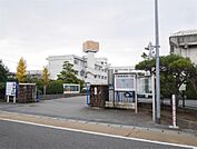 昭栄中学校(569m)