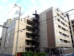 3 / 11