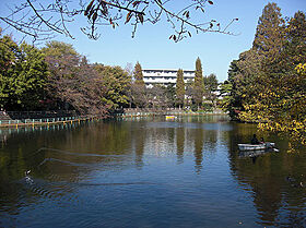 GENOVIA武蔵関公園スカイガーデン 1001 ｜ 東京都練馬区関町北3丁目4-7（賃貸マンション1R・10階・25.95㎡） その23