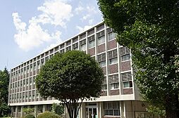LIGNUM武蔵野