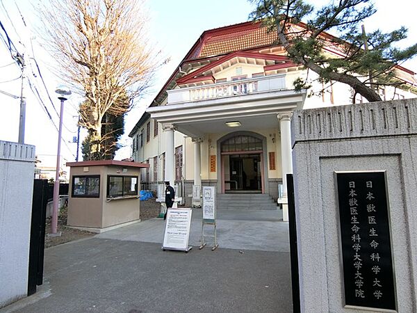 LIGNUM武蔵野