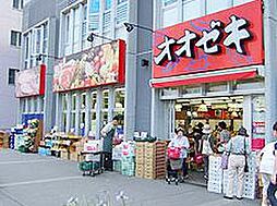 ベルジュール武蔵野中町