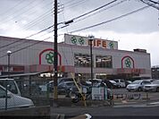 ライフ　伏見深草店まで300メートル