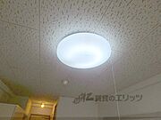 照明