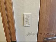 照明