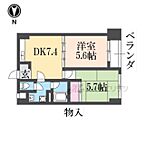 京都府京都市伏見区竹田中川原町：物件画像／株式会社エリッツ　六地蔵店