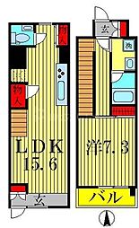 ニューシティアパートメンツ亀戸 1LDKの間取図画像