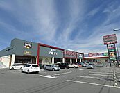 ハローデイ綾羅木店(714m)