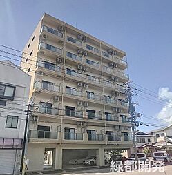 HALELEA水土花（ハレレアミドカ）
