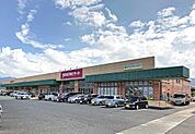 ゆめマート川棚(503m)