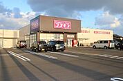 ディスカウントドラッグコスモス富任店(1、213m)