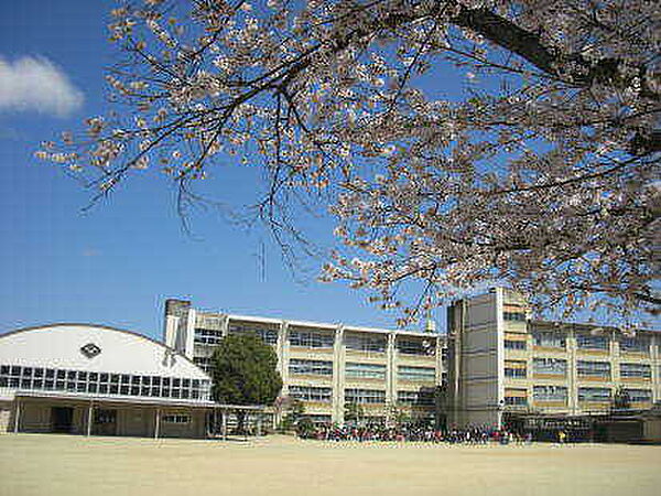 画像16:福知山市立大正小学校（280m）