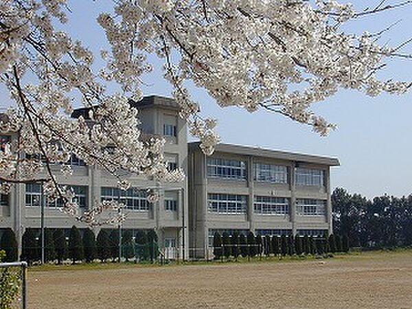 画像19:福知山市立桃映中学校（969m）