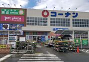コーナン 福知山店（808m）