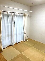 室内の画像