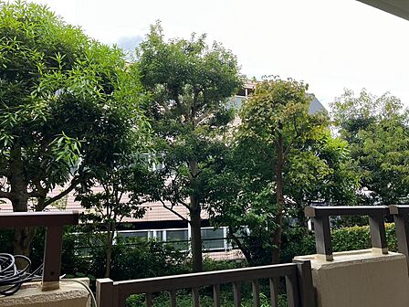 お部屋から青空や緑の眺めを楽しめる心地よい景観。専用庭からの柔らかな光と風を感じながら、ゆったりと寛げる住環境です。