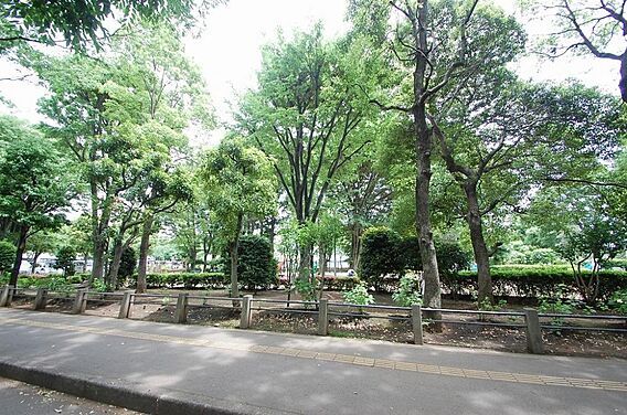 朝霞中央公園　...