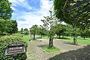 文化の杜公園 （徒歩10分） 800m