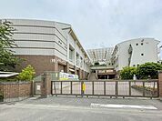 朝霞市立朝霞第一中学校 （徒歩19分） 1500m