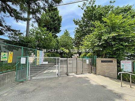 朝霞市立朝霞第八小学校 (徒歩2分) 160m