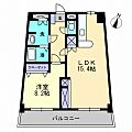 エクセルメゾン岡山5階8.0万円