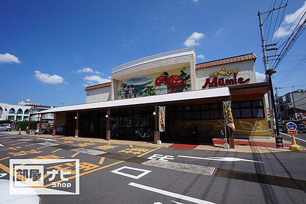 ホープＴＯＭＯ 301｜香川県高松市太田上町(賃貸マンション2LDK・3階・53.60㎡)の写真 その18