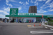 ザグザグ多肥下町店(ドラッグストア)まで487m
