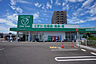 周辺：ザグザグ多肥下町店(ドラッグストア)まで487m