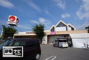 くすりのレデイ志度店(ドラッグストア)まで919m