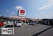 西村ジョイ志度店(ホームセンター)まで1109m
