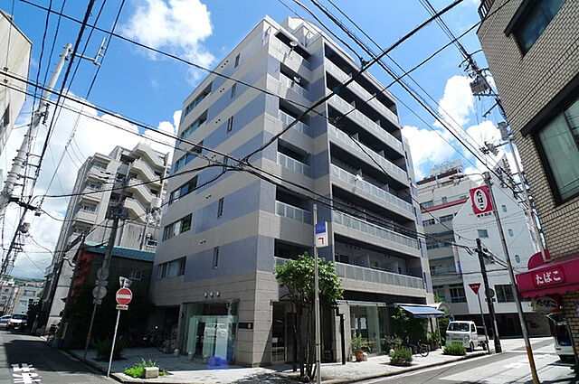 3 / 6