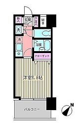 ビイルーム新宿 2階/-