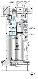 メインステージ蒲田V 8階/-