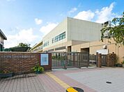 八王子市立みなみ野君田小学校迄240ｍ