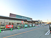 カインズ城山店