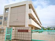 金程小学校