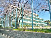 南大谷中学校