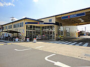 クリエイトSD上鶴間店