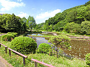 薬師池公園